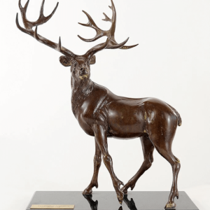 stag