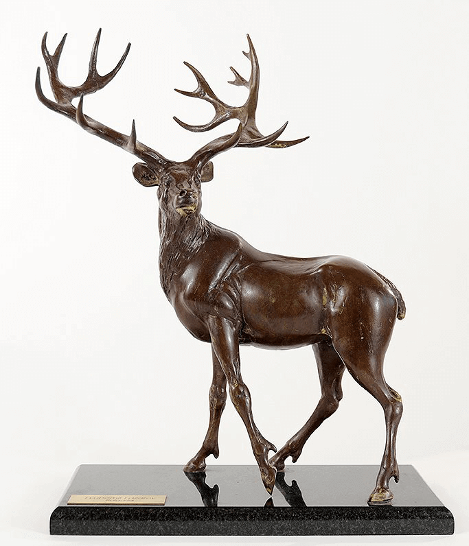 stag