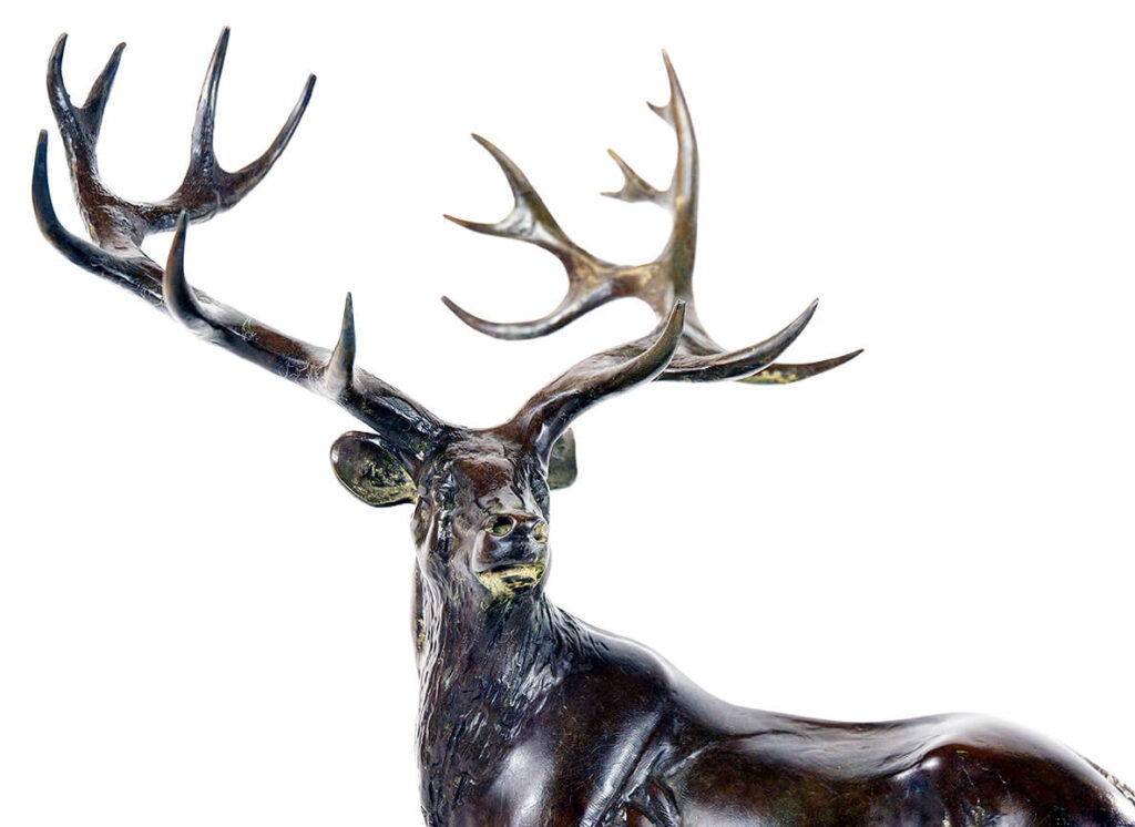 Stag_01