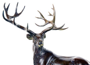 Stag_01